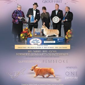 Meet your Posher, Debbie